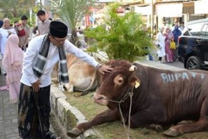 Pj Bupati Kuningan saat kurban sapi di mesjid Syiarul Islam.